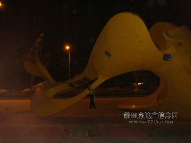 DSC01905.JPG