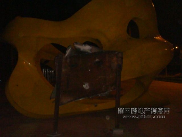 DSC01896.JPG