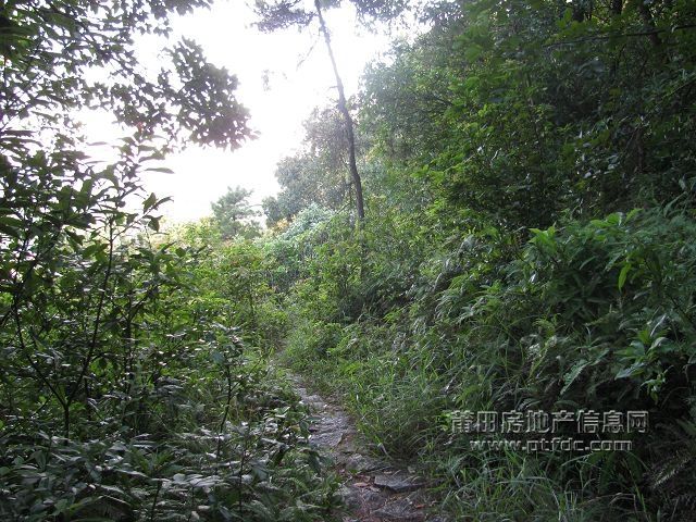 石室岩 (11).jpg