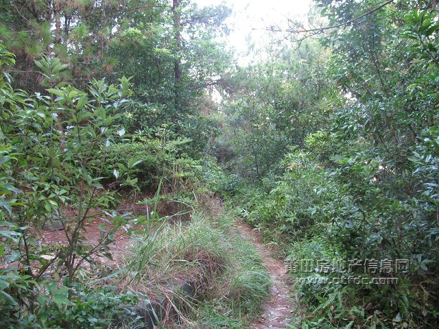 石室岩 (10).jpg