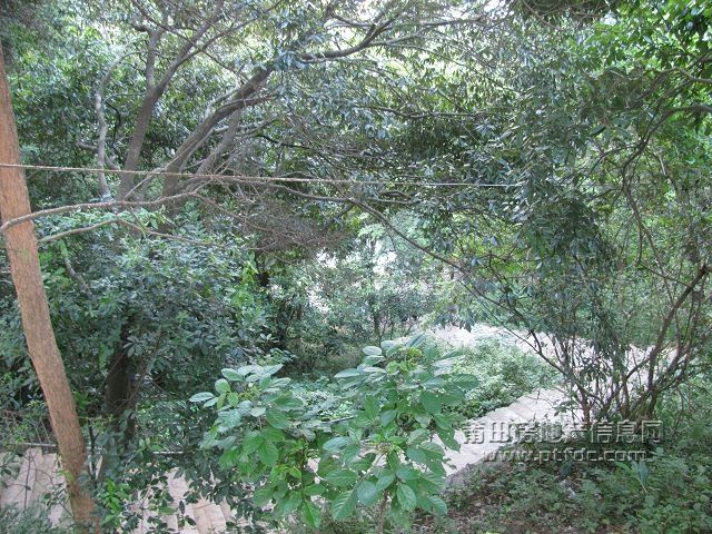 石室岩 (17).jpg