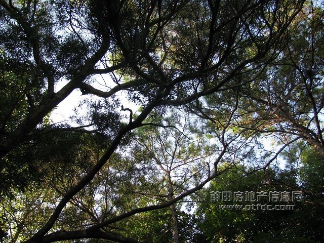 石室岩 (2).jpg