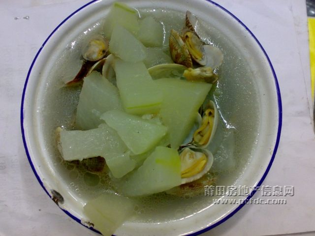 20090816474.jpg