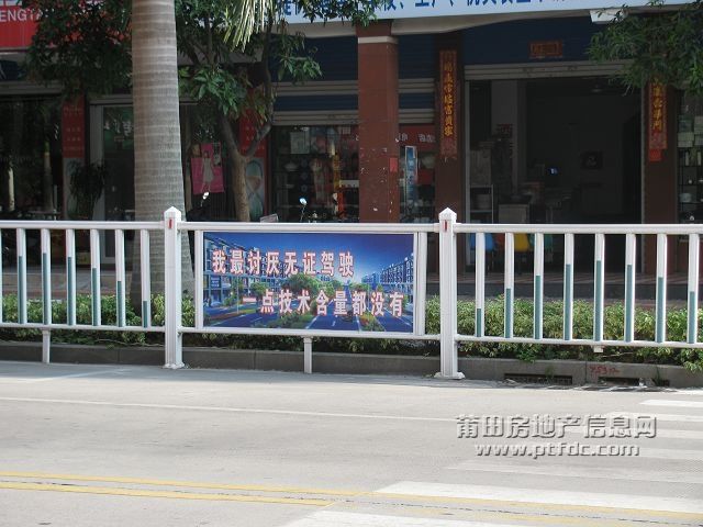 照1.jpg