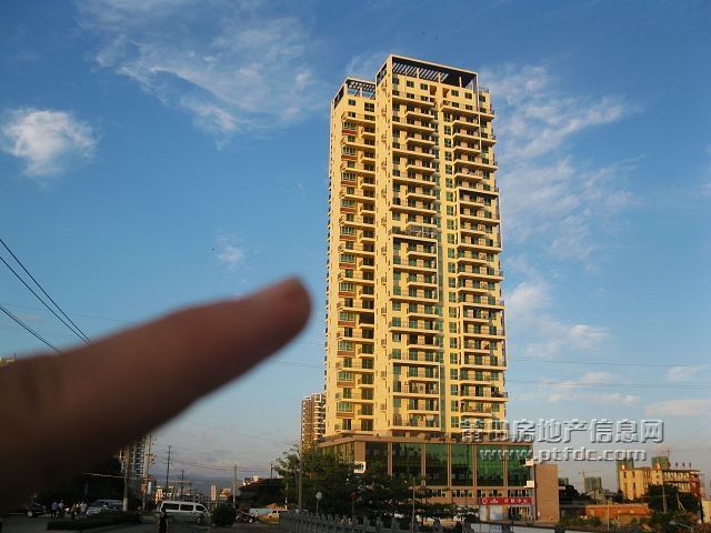 锦峰龙园特写10.jpg