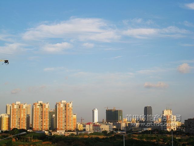 东圳路 (5).jpg