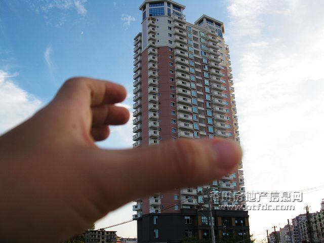 锦峰龙园特写3.jpg