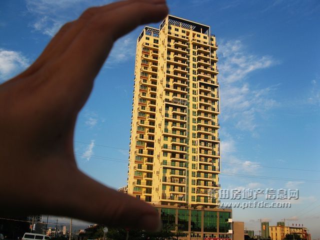 锦峰龙园特写4.jpg