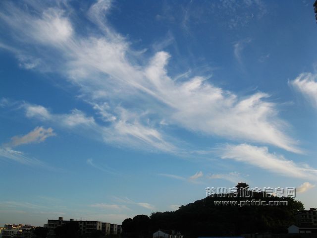 东圳路 (3).jpg