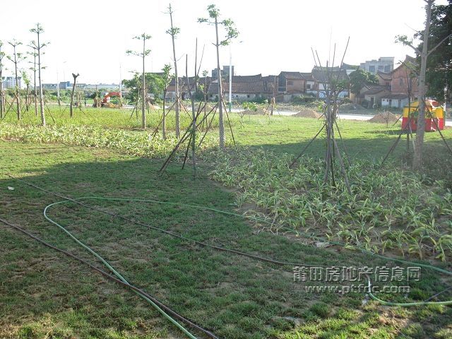07.jpg