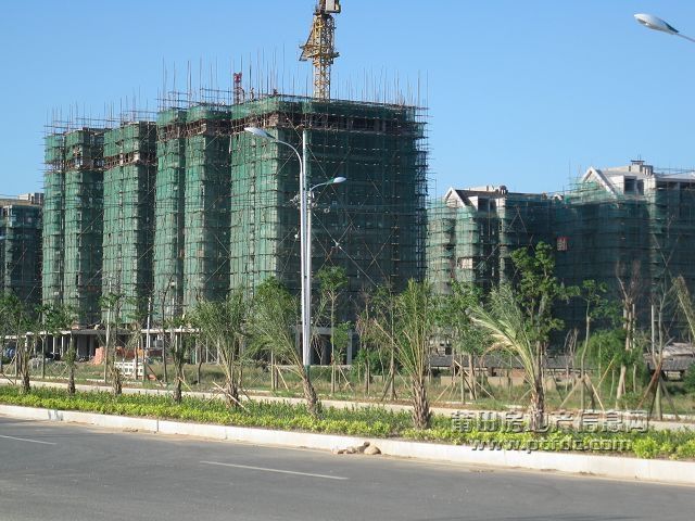 01.jpg