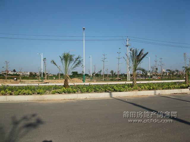 03.jpg