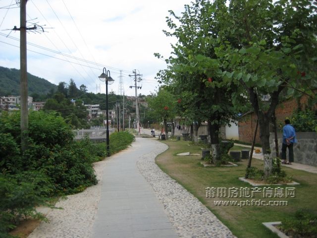 IMG_7095.jpg