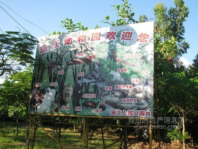 涵江公园 (25).jpg