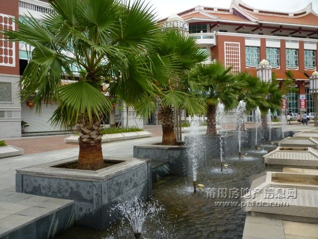 IMGA0023.JPG
