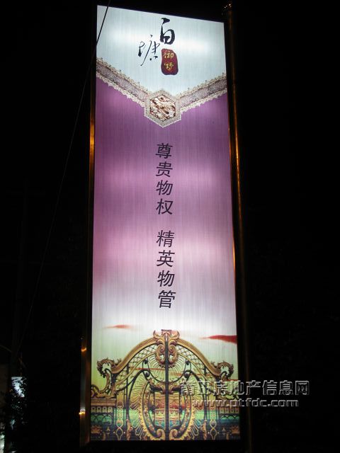 1 (19).jpg