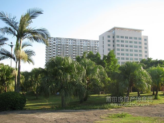 涵江公园 (31).jpg