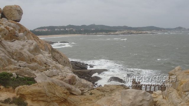 DSC01921.JPG