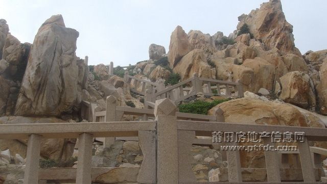 DSC01928.JPG
