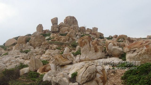DSC01903.JPG