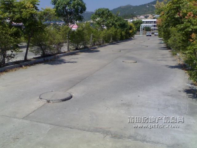 20091007240.jpg