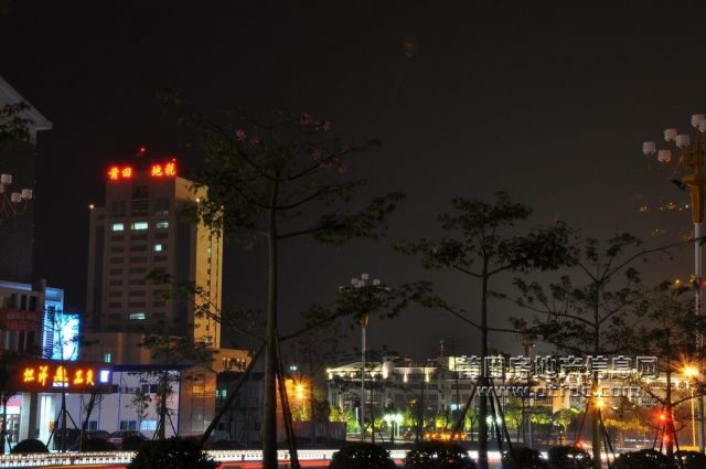 20091015_04.jpg