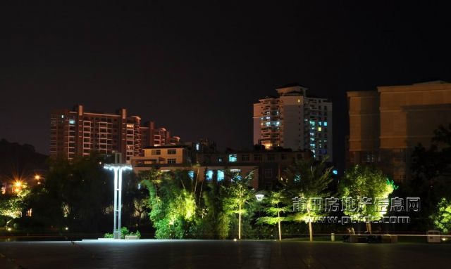 20091015_12.jpg