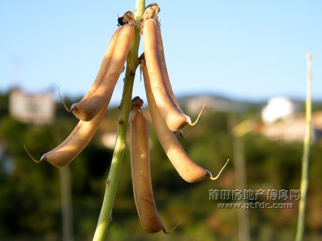 东圳水库妙摄10.jpg