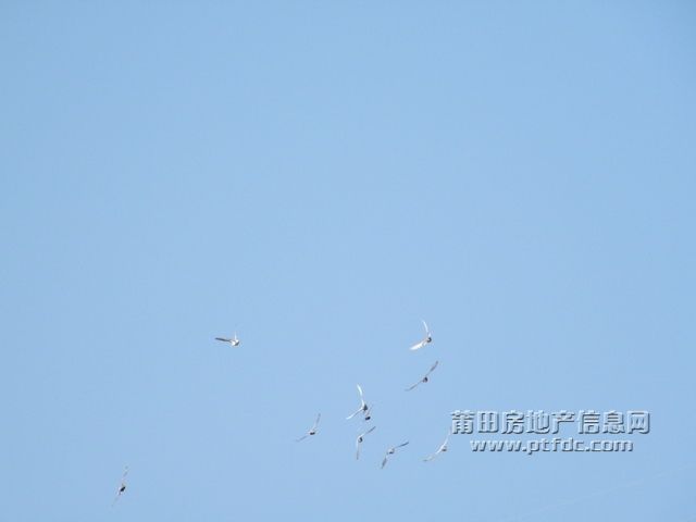 东圳水库妙摄7.jpg