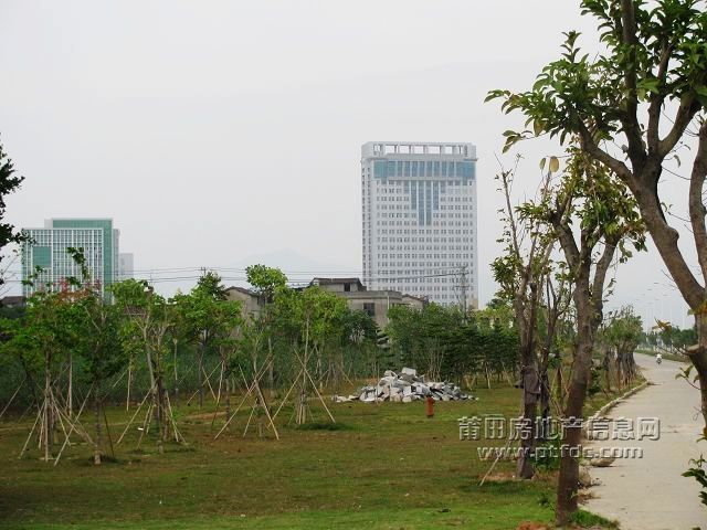 城东 (13).jpg