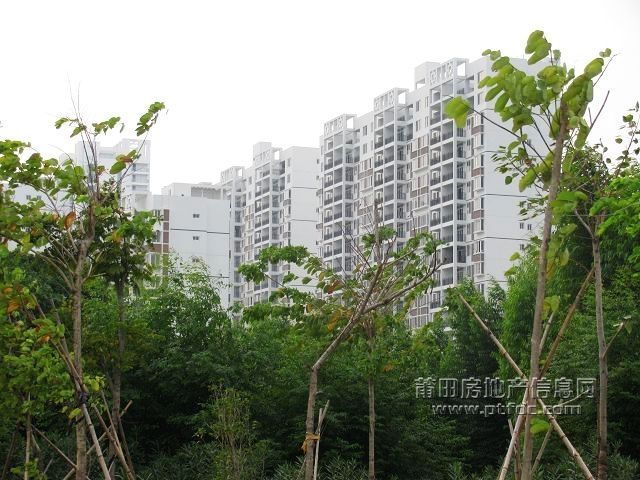 城东 (11).jpg