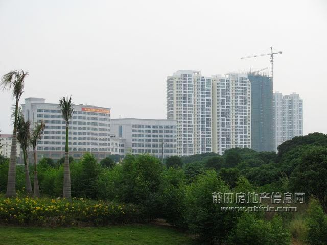 城东 (17).jpg