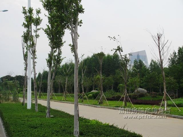 城东 (1).jpg