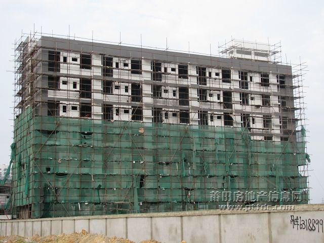 城东 (28).jpg