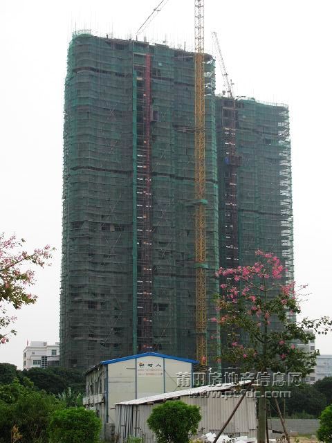城东 (31).jpg