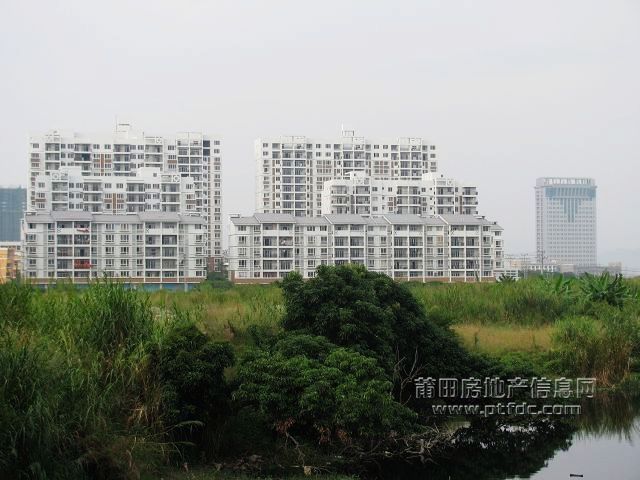 城东 (24).jpg