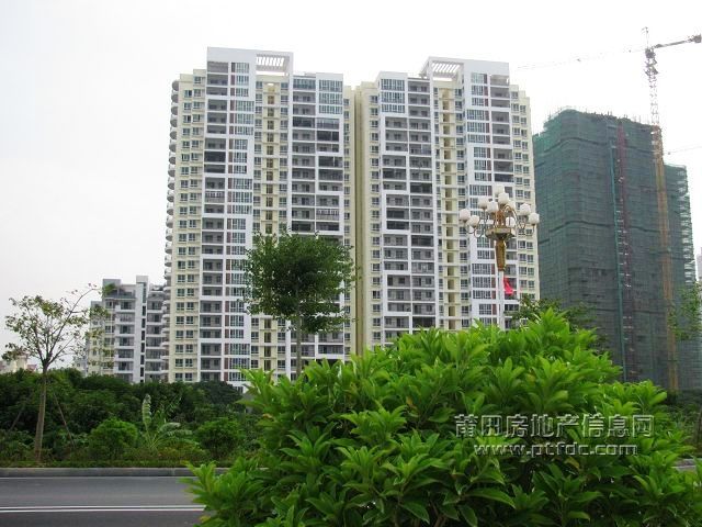 城东 (30).jpg