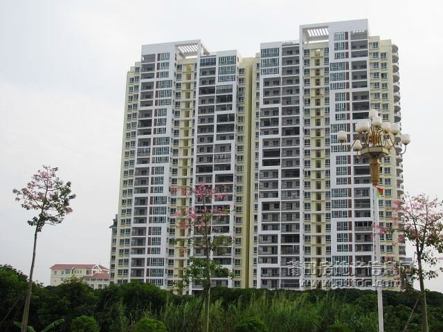 城东 (32).jpg