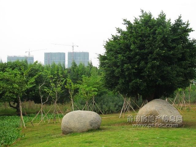 城东 (14).jpg