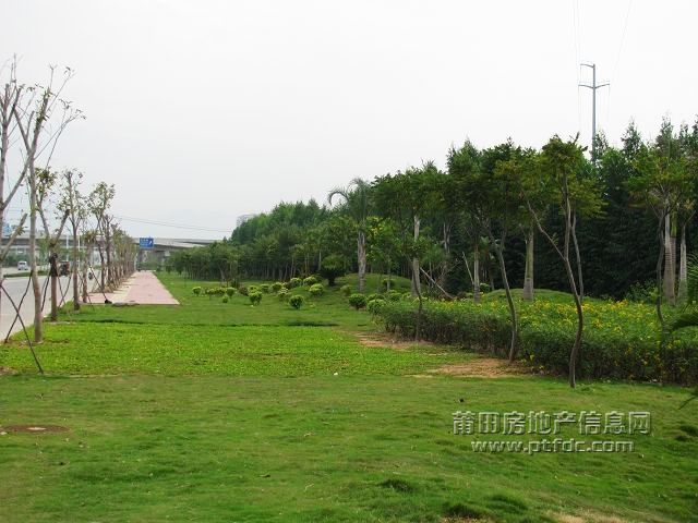 城东 (18).jpg