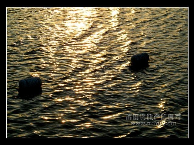 东圳水库夕阳4.jpg