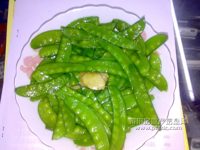 20091023058.jpg