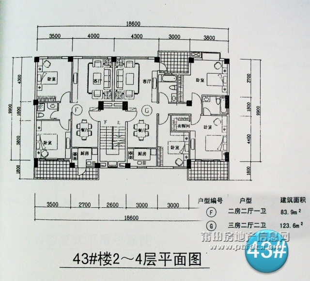 43#楼2-4F平面图.jpg