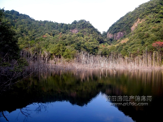 菜溪采风 (43).jpg