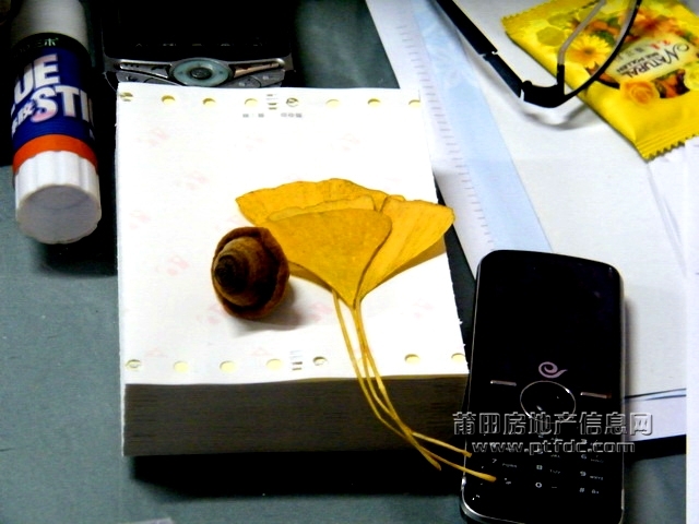 菜溪采风 (72).jpg