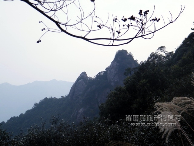 菜溪采风 (56).jpg