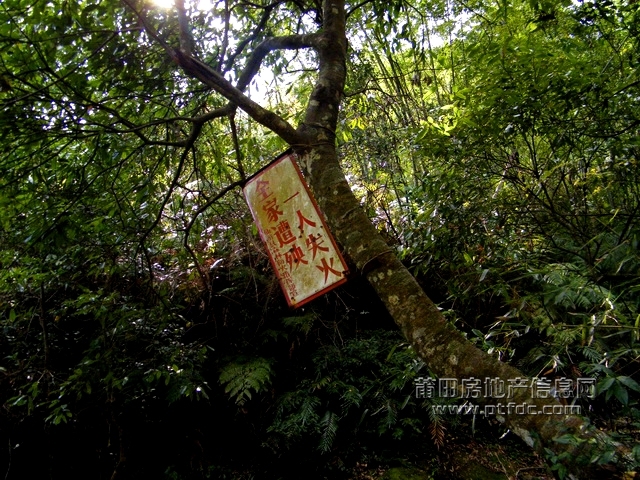 菜溪采风 (8).jpg