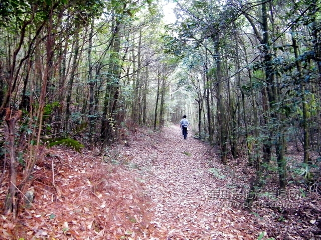 菜溪采风 (52).jpg