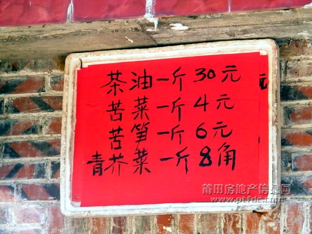 菜溪采风 (2).jpg