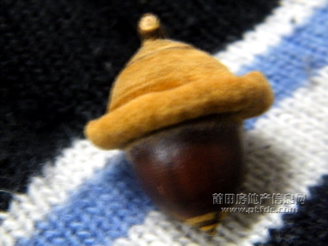 菜溪采风 (73).jpg